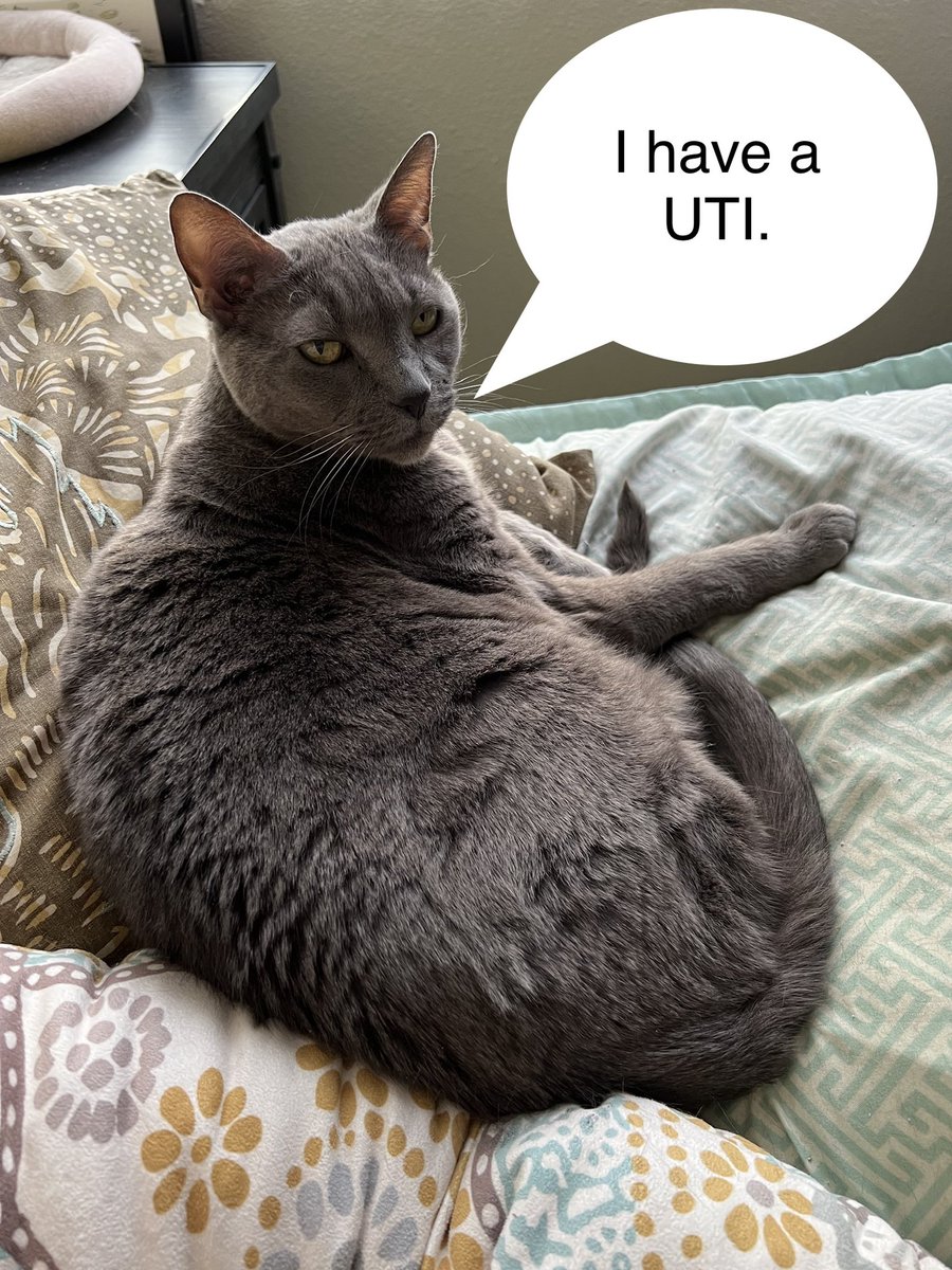 Adam Wallander tweet media