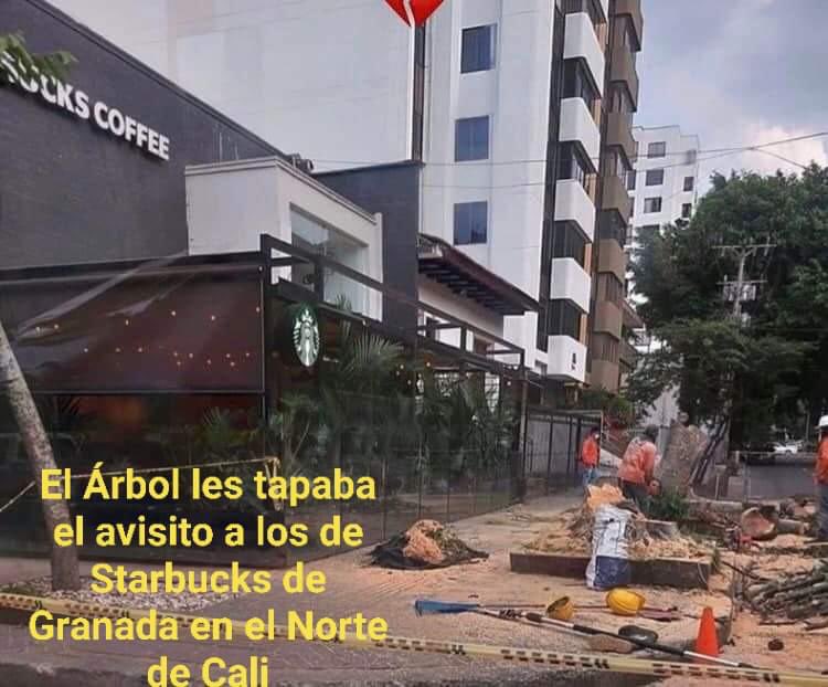 TiaLechuza's tweet photo. Well apparently @Starbucks was not very happy with this tree blocking its sign in the city of Cali, Colombia #brandingstrategy https://t.co/NgG9D6fTJS