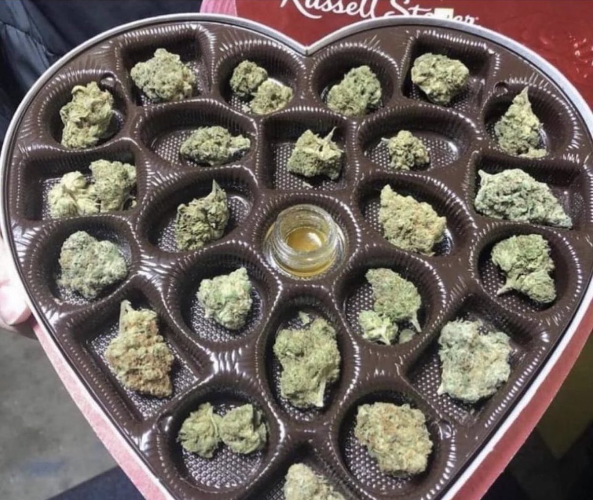 koldjadee's tweet photo. literally all i want for valentine’s day https://t.co/6dTvRFMkQx