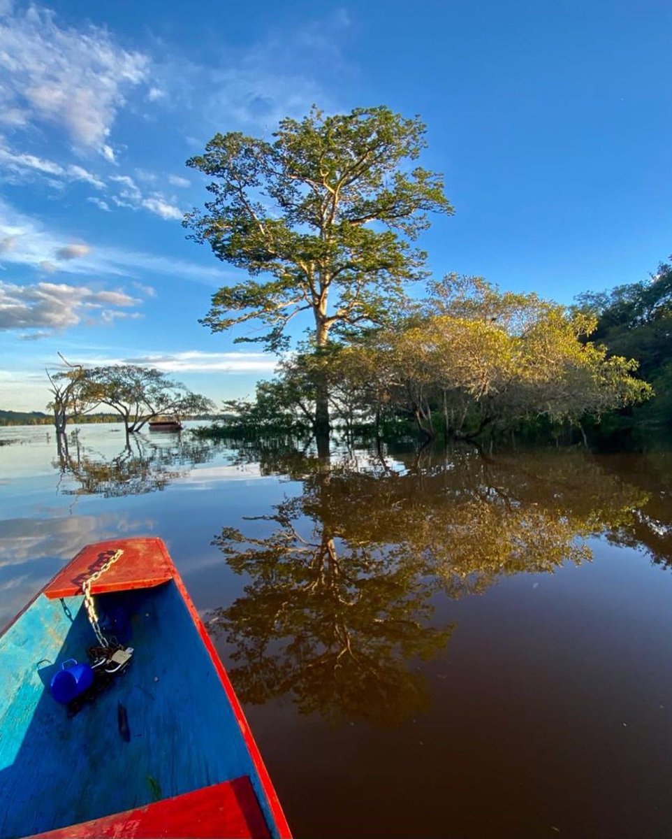 Final de tarde no Xingu, hoje. É essa enormidade de beleza e significados que o bolsonarismo e sua base de grileiros, madeireiros e donos de garimpo estão destruindo neste momento, agora.
Fotos: Marcelo Salazar