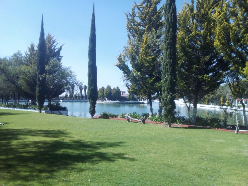 coachOMAR42's tweet photo. Fin de semana trabajando desde el
#ClubCampestreTeotihuacan
#CobinadoNacional
#HalconesTexcoco
#HalconesOtumba
#WeLoveFootball
#FemenilEquipadas! https://t.co/j4KUSDaaG2
