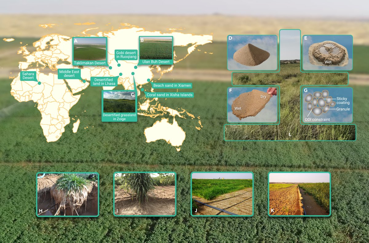 The Innovation: a Cell Press partner journal (@the_innovationj) on Twitter photo Desert soilization: The concept and practice of making deserts bloom.
<a href="/The_InnovationJ/">The Innovation: a Cell Press partner journal</a> doi.org/10.1016/j.xinn…
Soilization has been successfully applied in different landforms and climates with the total soilized area reaching 1,130 hm2.
#Desert Desert soilization: The concept and practice of making deserts bloom.
<a href="/The_InnovationJ/">The Innovation: a Cell Press partner journal</a> doi.org/10.1016/j.xinn…
Soilization has been successfully applied in different landforms and climates with the total soilized area reaching 1,130 hm2.
#Desert