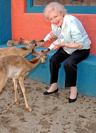 internity tweet media