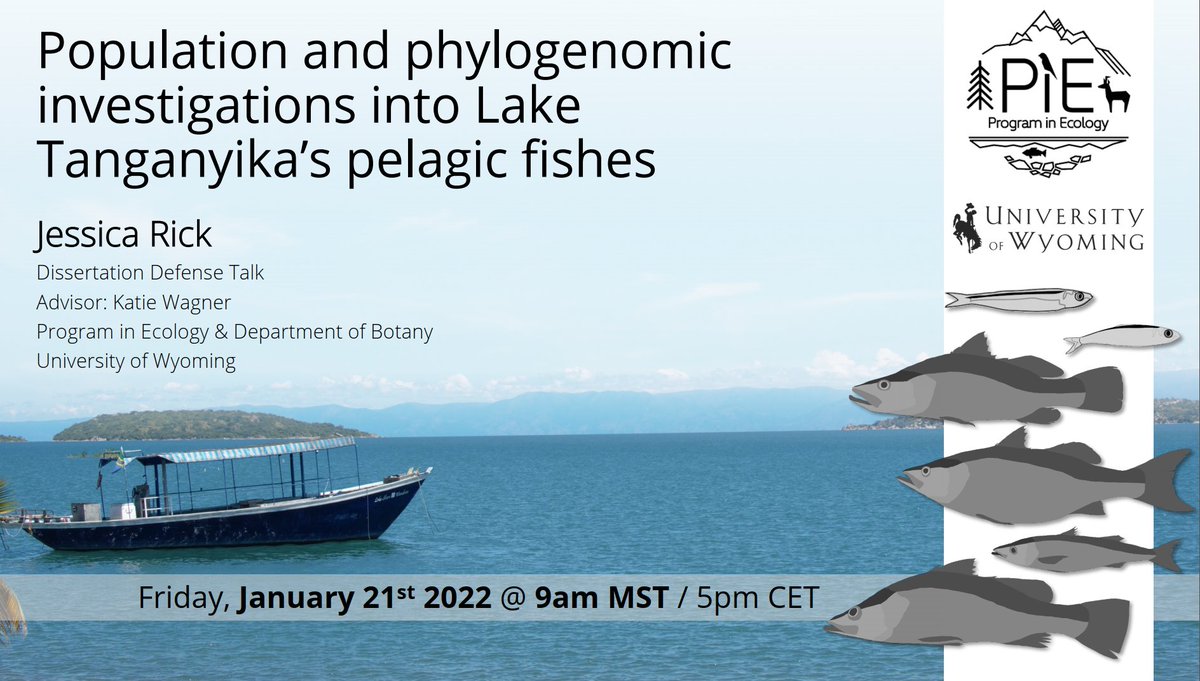 Jessi Rick tweet media