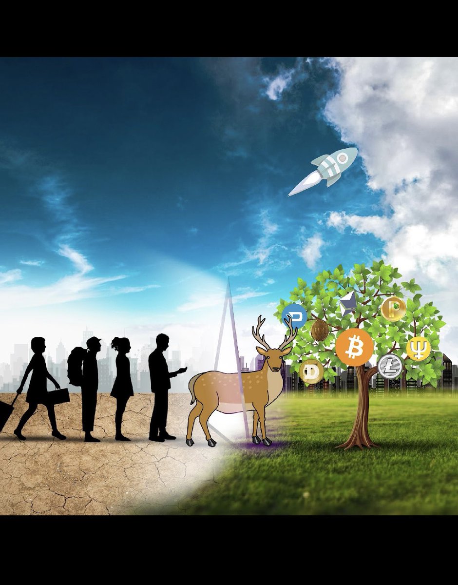 nftforvirtual's tweet photo. https://t.co/NgGfxRztVY https://t.co/niWDb2YPRq