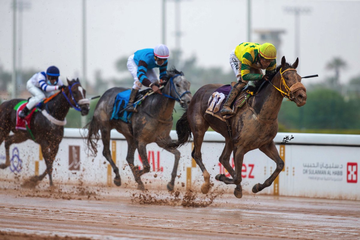 tnnt3's tweet photo. صور منوعة من كرنفال #كؤوس_الملوك 🏇🏻 https://t.co/mRbINuWXum