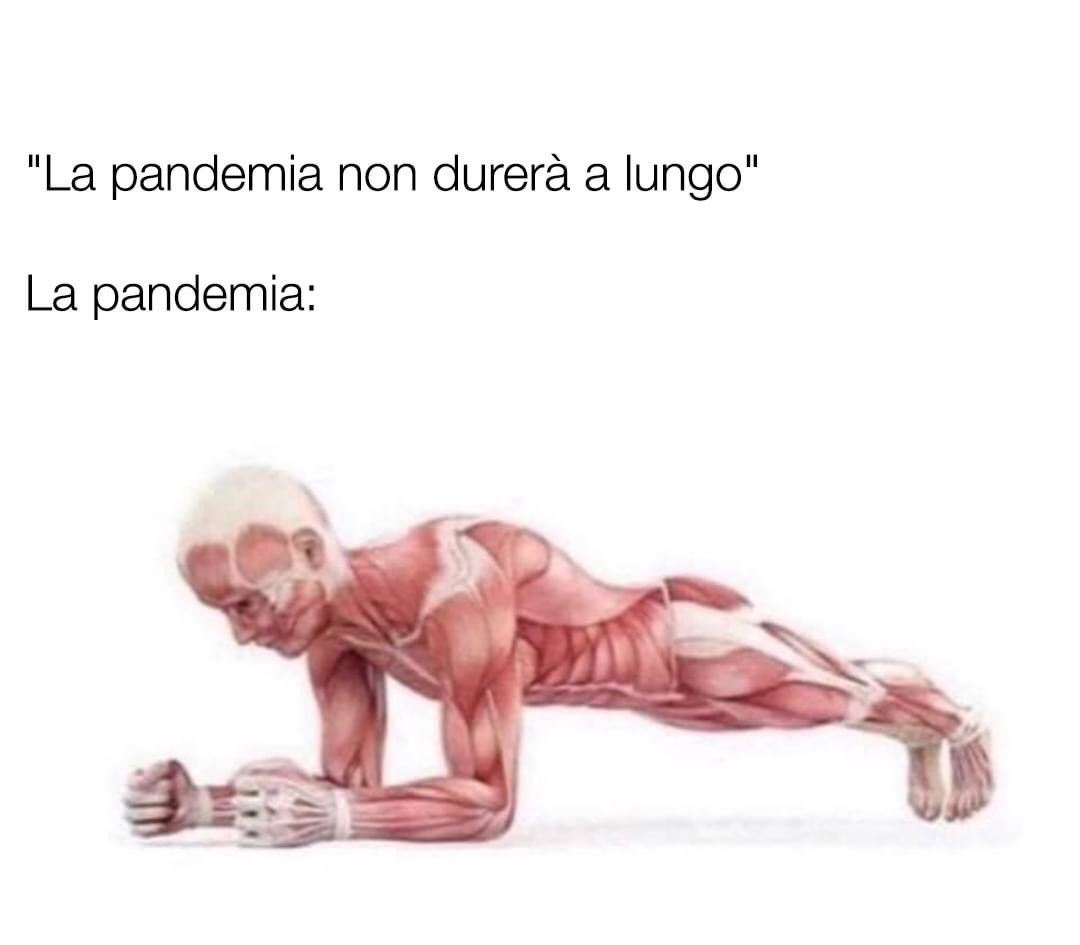 Dal web:
