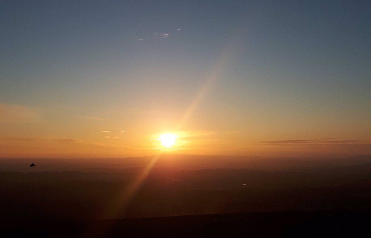 Climbing up on Reigate Hill #wintersun <a href="/LondonSnowWatch/">Sᴏᴜᴛʜᴇʀɴ ᴇɴɢʟᴀɴᴅ ᴡᴇᴀᴛʜᴇʀ</a>