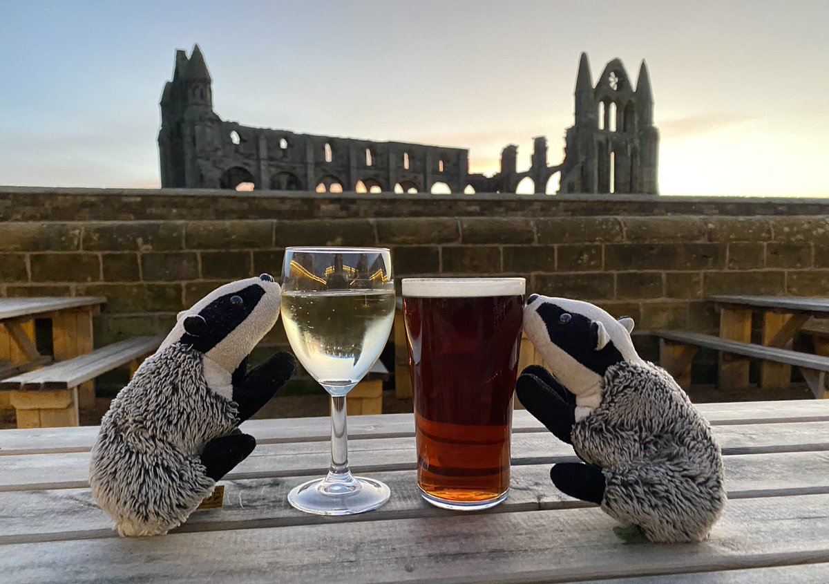 Happy New Year everyone! We hope you all had a lovely festive break? The typist has been busy looking after her parents but we did squeeze in a trip to Yorkshire 😀 We hope to resume tweeting properly soon! 🦡