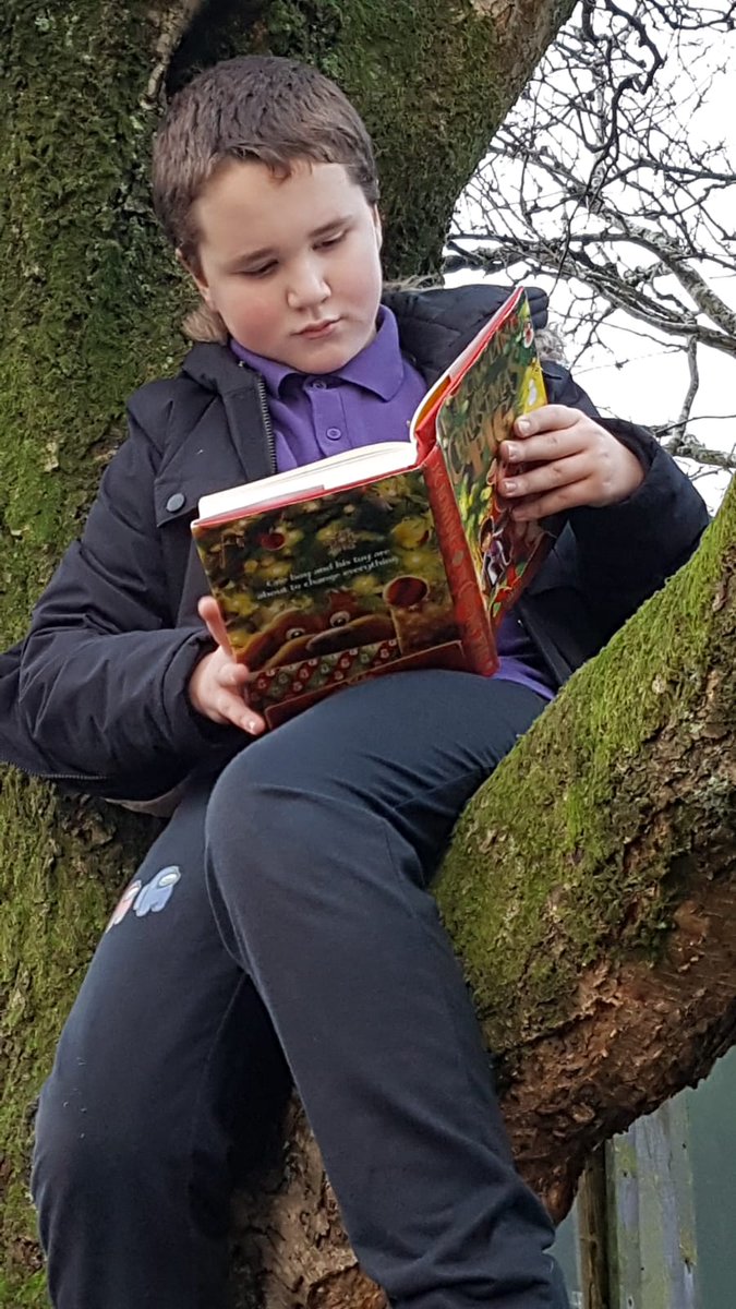 WeeSus12's tweet photo. I'm not too sure it was comfy but it was what he wanted to do while at grans during the week... reading his book in a tree and loving it! 😂��🌳#bookworm #rampantreading @Lillian78482010 @BridgetPrimary https://t.co/t8A2VIHlxd
