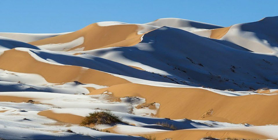 MMmarco0's tweet photo. Insolita nevicata nel Deserto del Sahara nell'Algeria meridionale. https://t.co/PCF2UGEO9w