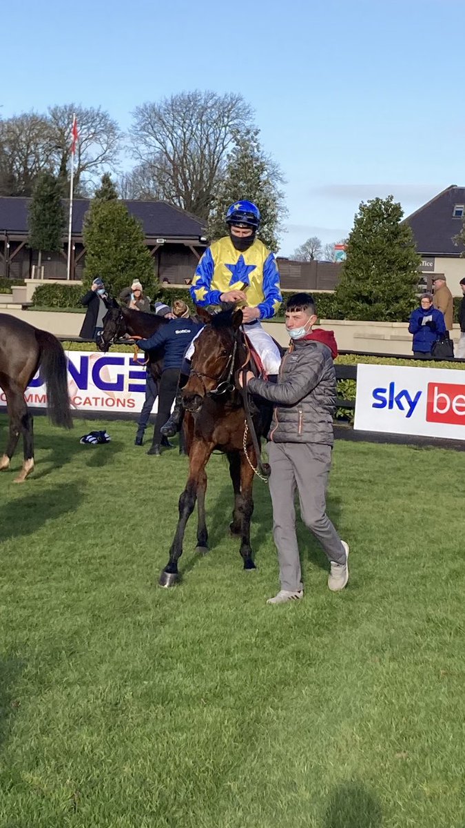 MobhiRoad's tweet photo. @punchestownrace @Matthew21037545 💛💙 https://t.co/Eu7xPxBRH7