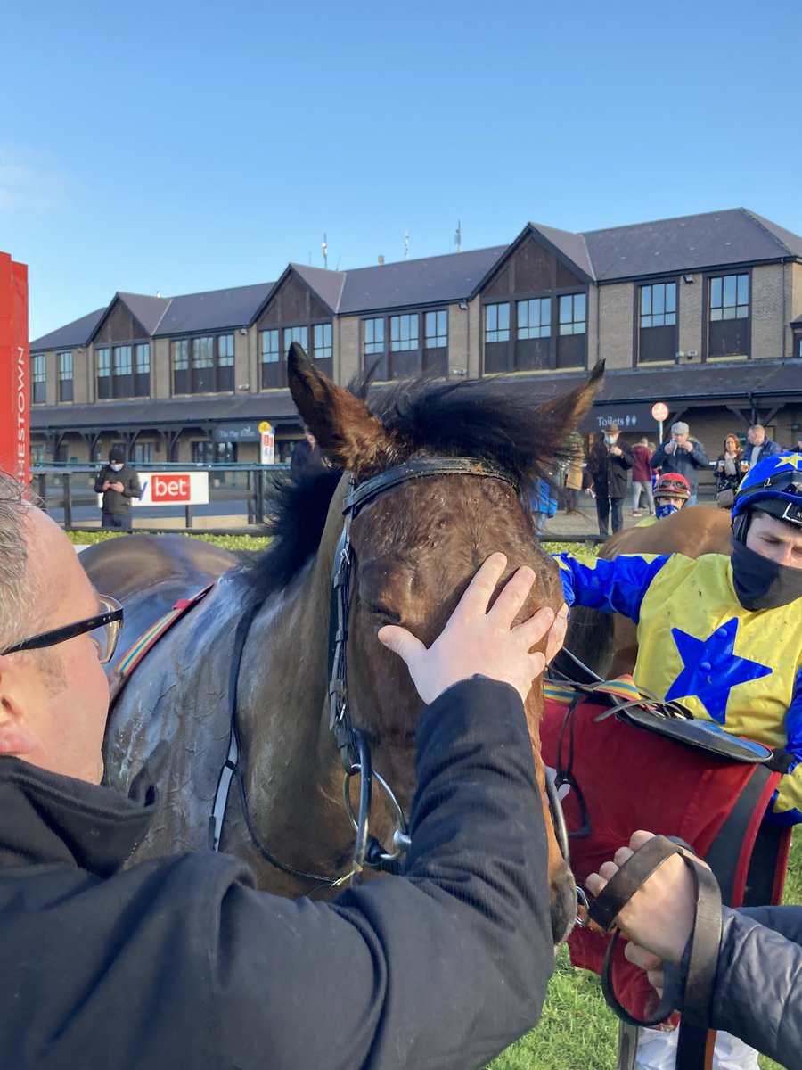 MobhiRoad's tweet photo. @punchestownrace @Matthew21037545 💛💙 https://t.co/Eu7xPxBRH7