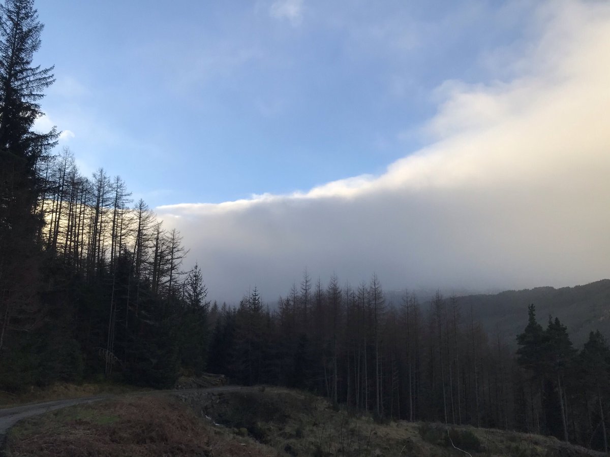 opus29jane's tweet photo. Same sky; different days
Same place; different ways
Same week; different dreams
Not everything is what it seems
#lookbeyondtheobvious https://t.co/sNcZ5aBpdQ