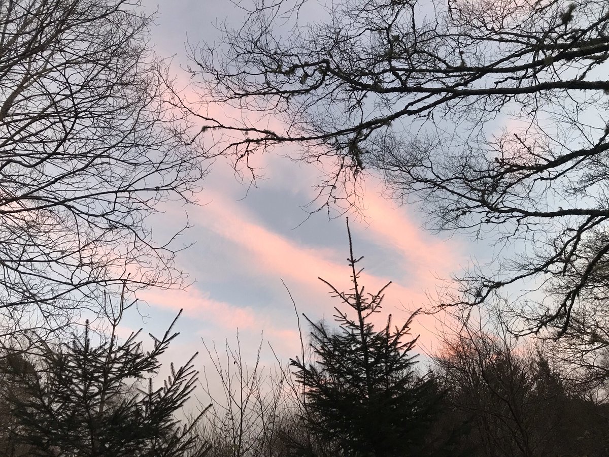 opus29jane's tweet photo. Same sky; different days
Same place; different ways
Same week; different dreams
Not everything is what it seems
#lookbeyondtheobvious https://t.co/sNcZ5aBpdQ