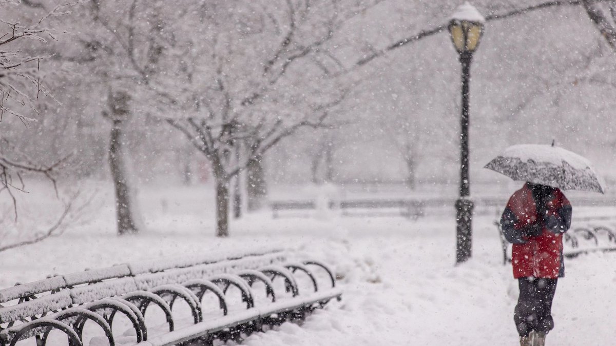 CentralParkNYC's tweet image. Lost in the Park? 🤔 Here’s a helpful tip—even for lifelong New Yorkers: check the four numbers on any lamppost base. The first two numbers indicate the nearest street, and if the the last two numbers are odd, you're on the west side and if they are even, you're on the east side.
