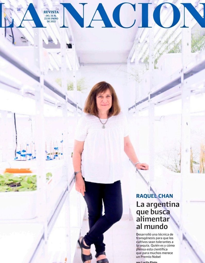 Qué bueno que se le dé lugar en los medios a gente tan grosa como a la Dra Raquel Chan, la investigadora 🇦🇷 que desarrolló cultivos con el gen HB4 que otorga tolerancia a la sequía. 

Sale 🧵 sobre la entrevista que le hizo <a href="/luchipaint/">Lucila Pinto 💚</a> para <a href="/LANACION/">LA NACION</a> 👩‍🔬👇
lanacion.com.ar/la-nacion-revi…