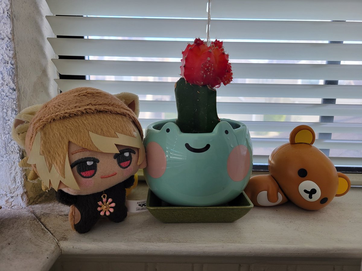 with Jim the cactus 🌵