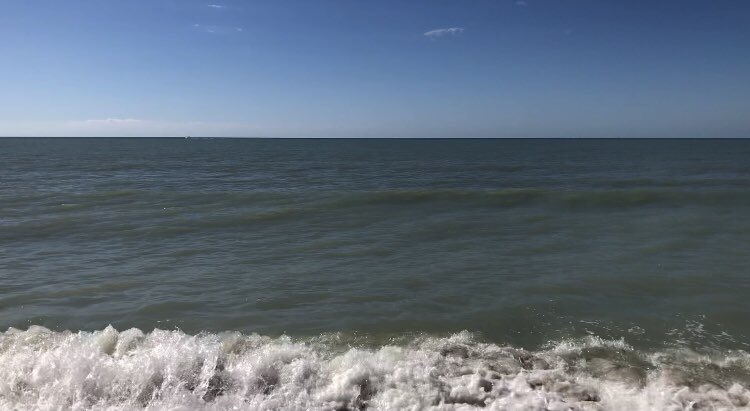 Mark Arum tweet media