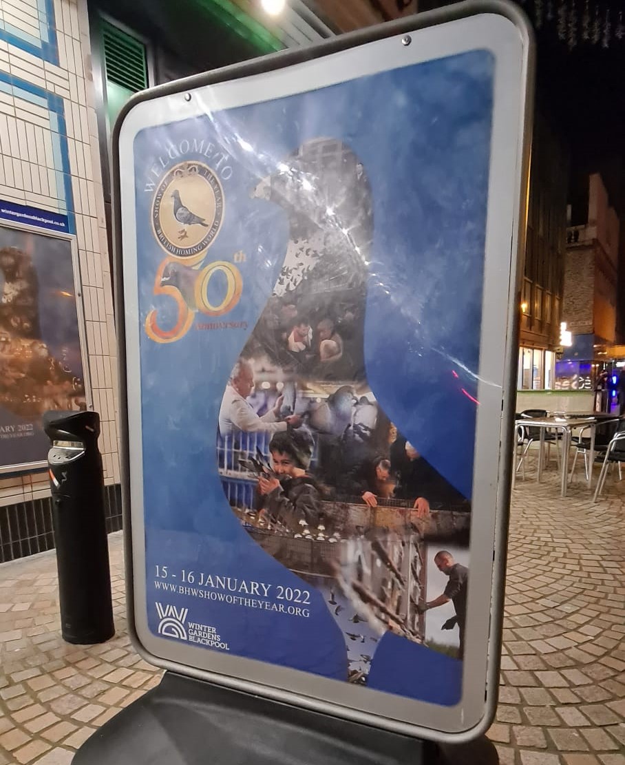 BpfGild's tweet photo. And another Blackpool RPRA 'show of the year' ends. 
No tests this year, but lots of good interactions with the pigeon fanciers. Their drive and desire to improve understanding and treatment of HP is amazing.
Next year we will reach 500 recruited, no doubt! https://t.co/ImTtDAZnWC