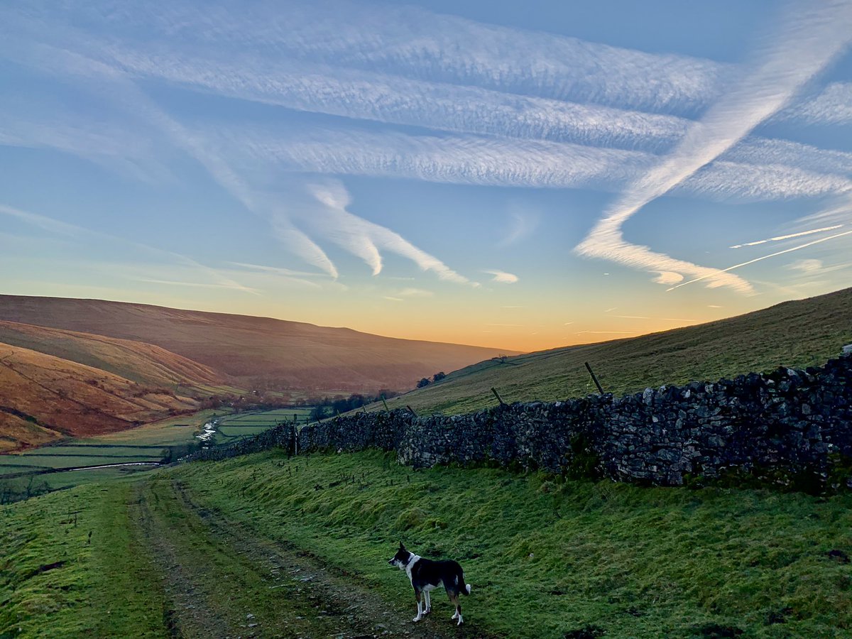Beautiful winter sunrises these last few mornings in Littondale 😍
#littondale #yorkshiredales #yorkshire #winter #sunrise
