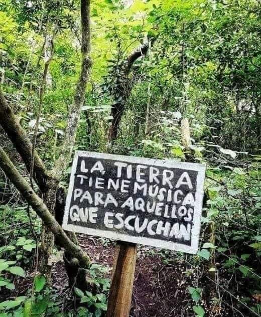 Ecoprácticas (@ecopracticas) on Twitter photo 