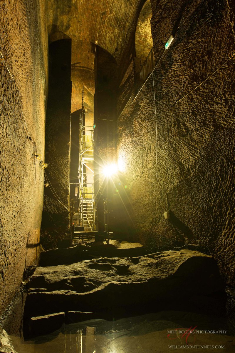 Williamson's Tunnels tweet media