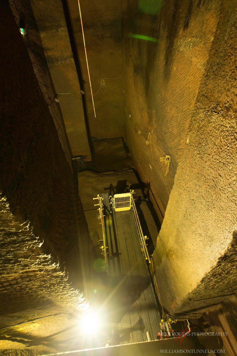 Williamson's Tunnels tweet media
