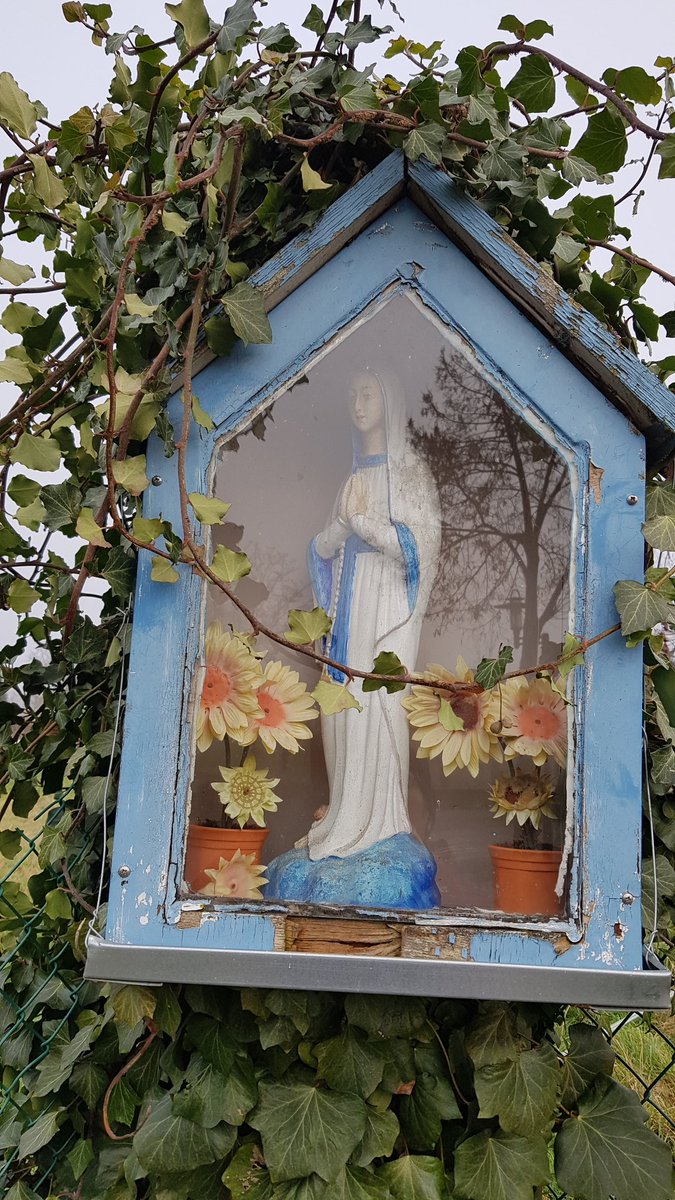 Streek- #GRpad Haspengouw zit er op. Een rondje van 129 km door het #Vlaamse land. Langs o.a. Sint Geertruid, Belgisch oudste stad, Tongeren, Bilzen en tal van liefelijke dorpjes en gehuchten. En Zij zag dat het goed was.