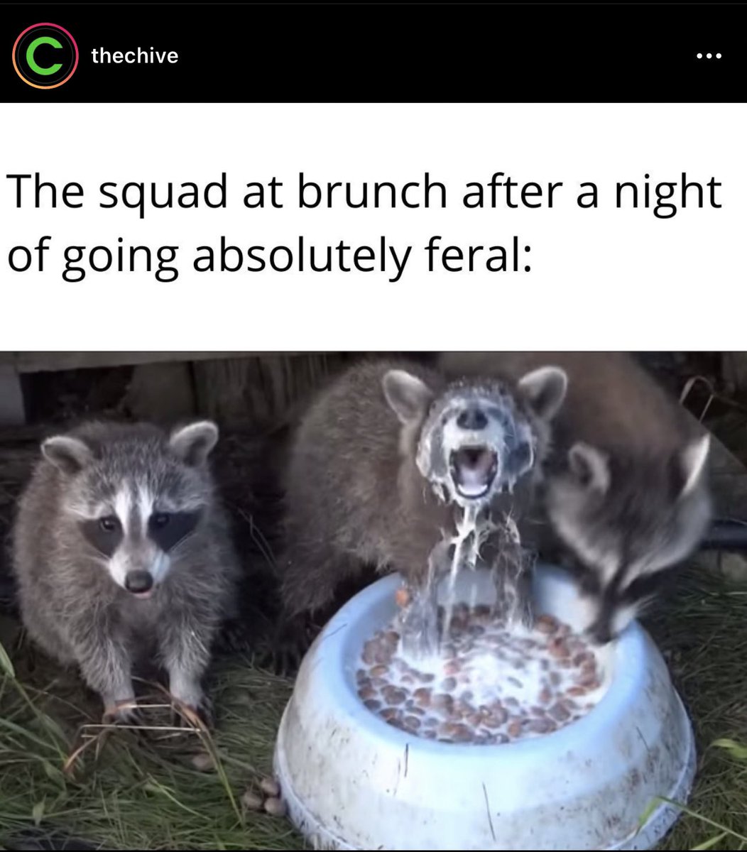 ChiveOnSeattle (@chiveonseattle) on Twitter photo 