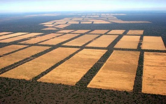 contralorespy's tweet photo. La NASA advierte que en la República del Paraguay se ha arrasado con todos los bosques importantes y dentro 10 años ya nose podrá salir a las calles debido a las altas temperaturas. El modelo Soja y Carne tarde o temprano afectará gravemente la salud de todos. ⚠️♨️🌡️☀️🔥🔥🔥🔥🔥 https://t.co/pCIOzUc779