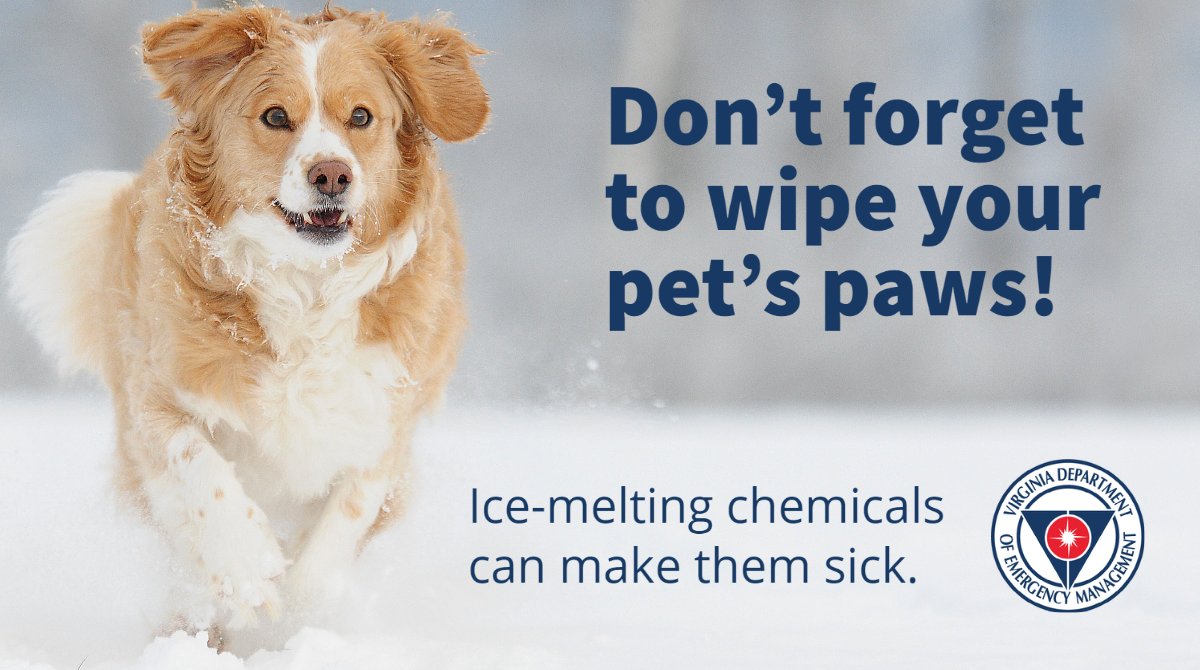Can Ice Melt Make A Dog Sick