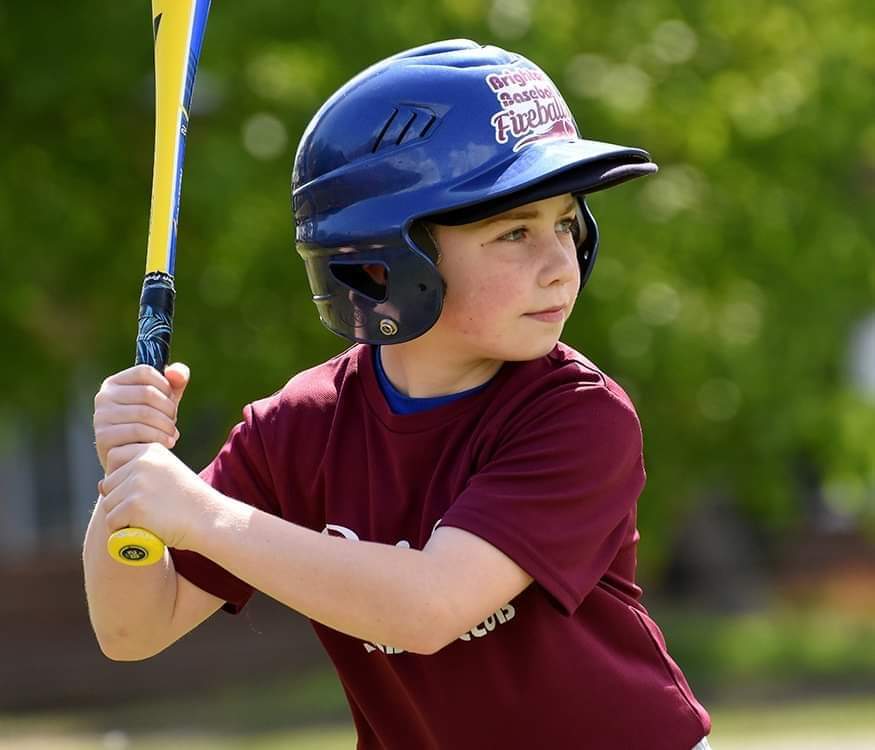 Brighton Baseball tweet media