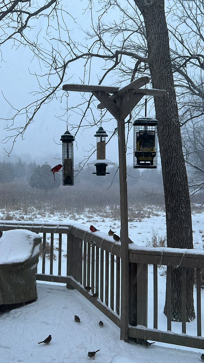 sarcamp25's tweet photo. @TheMoCoSnow @capitalweather comin down hard in Gaithersburg https://t.co/Mre8bVIws5