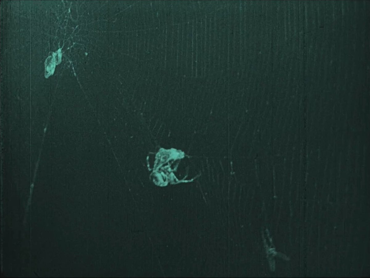 #Nosferatu Minute 48

A black and white film...
No, Nosferatu is not.
Behold! Colour tints.

-

Wanting more colour?
Then Nosferatu...
Reanimated?

youtube.com/watch?v=IfsNn4…

#haiku #silentfilm #animation #horror
