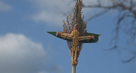 apostIIe's tweet image. children of the corn (1984)