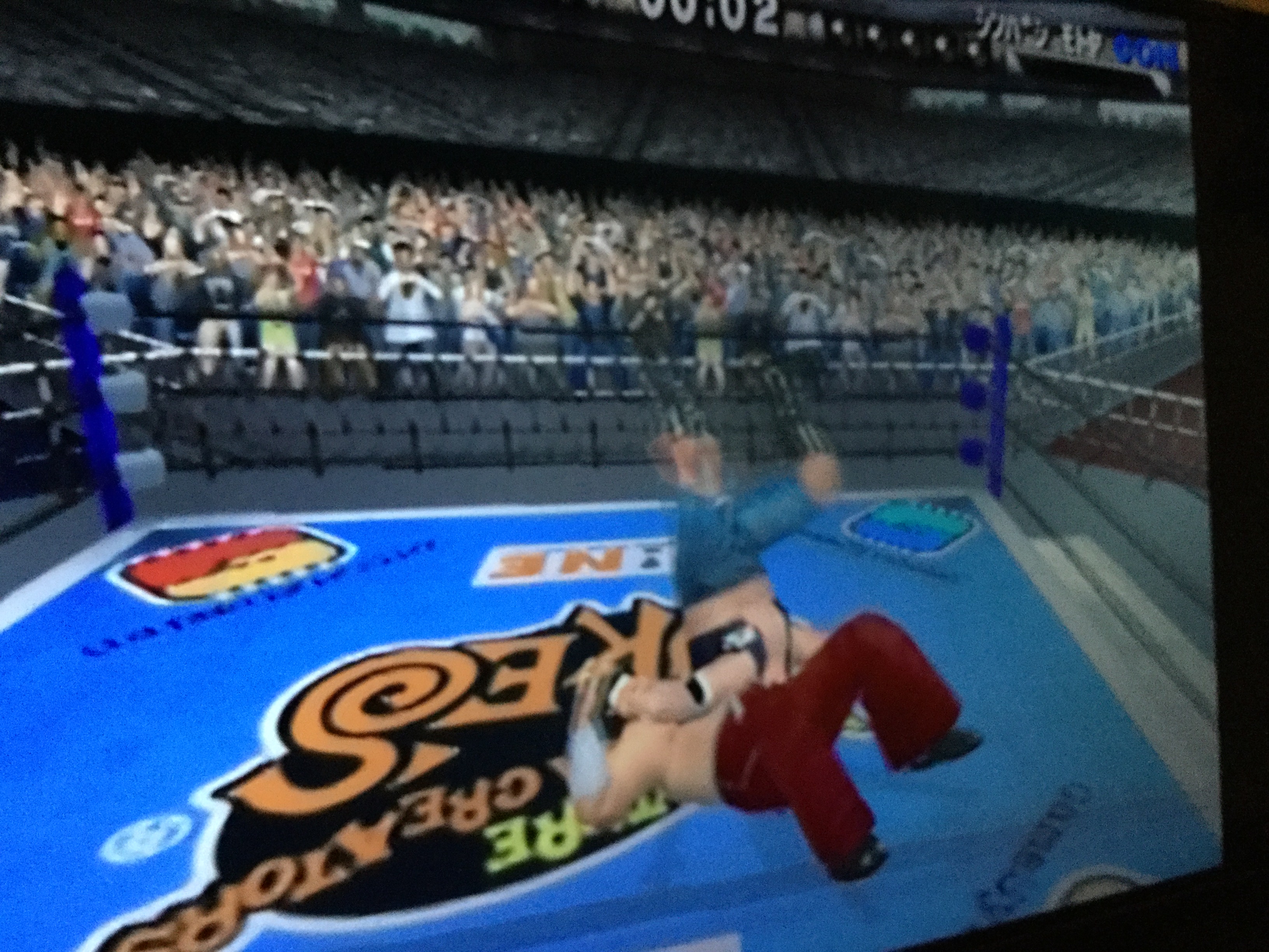 Online Pro Wrestling from Yukes - PS2