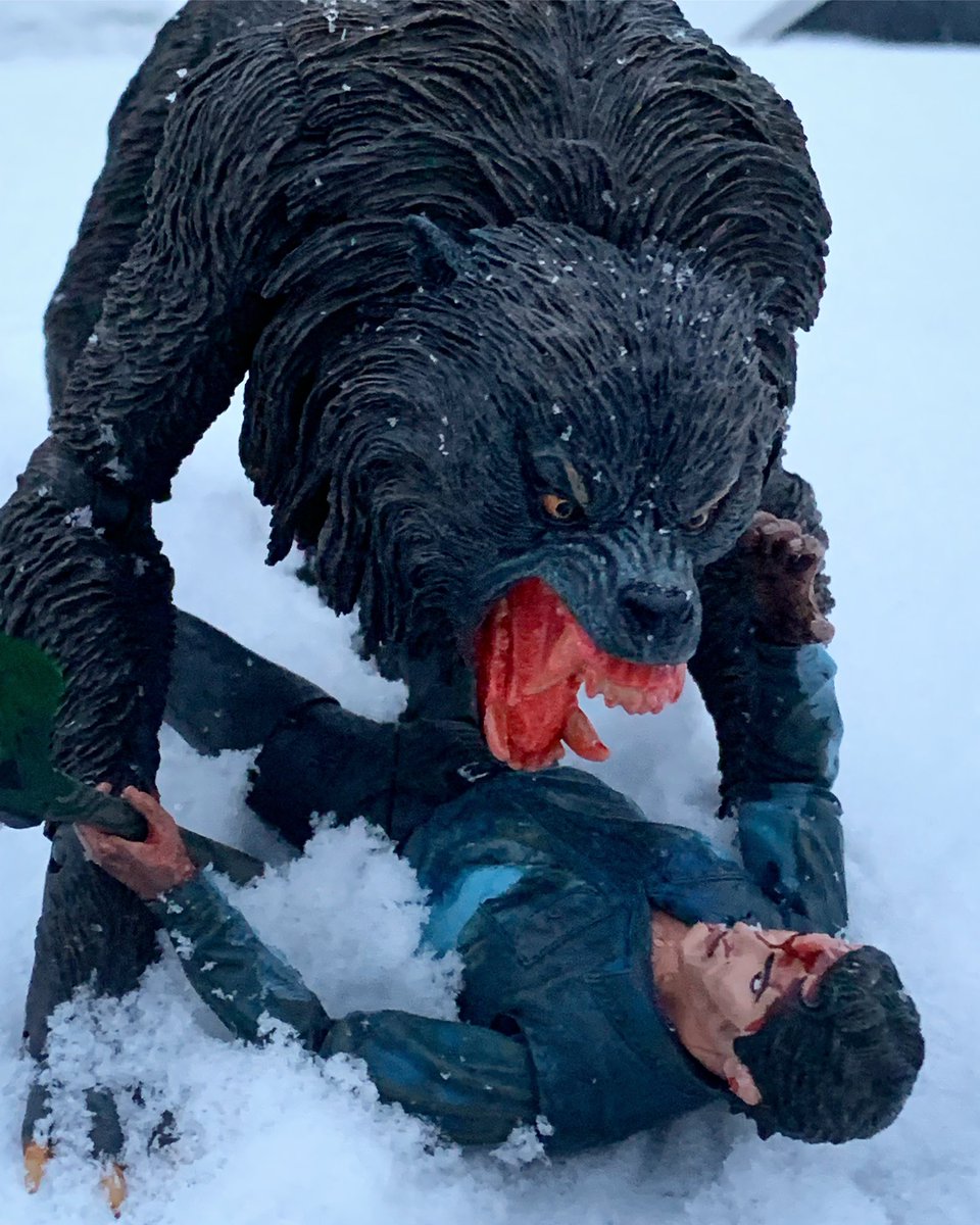 evilekim33's tweet photo. Today’s Forecast: Cold with a chance of #NECASNOW 🥶📷🐺 https://t.co/44n7GMKhuZ