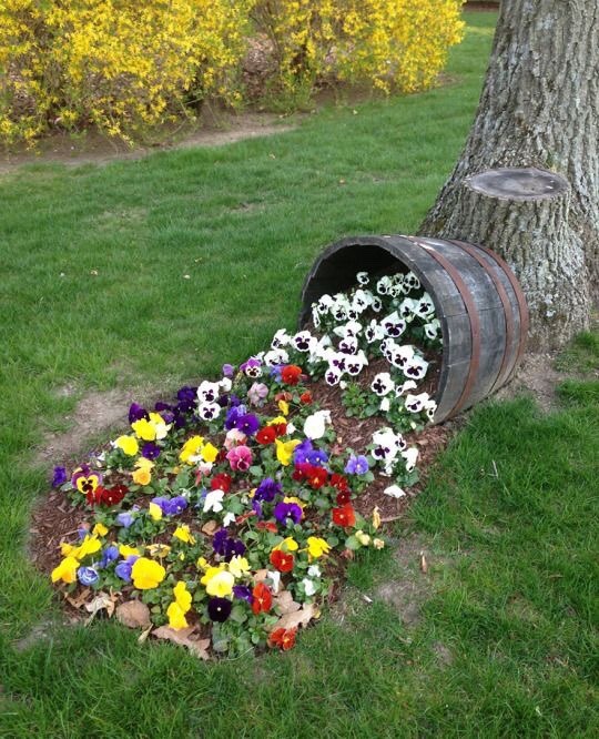 🌿🌼🧺 tweet media