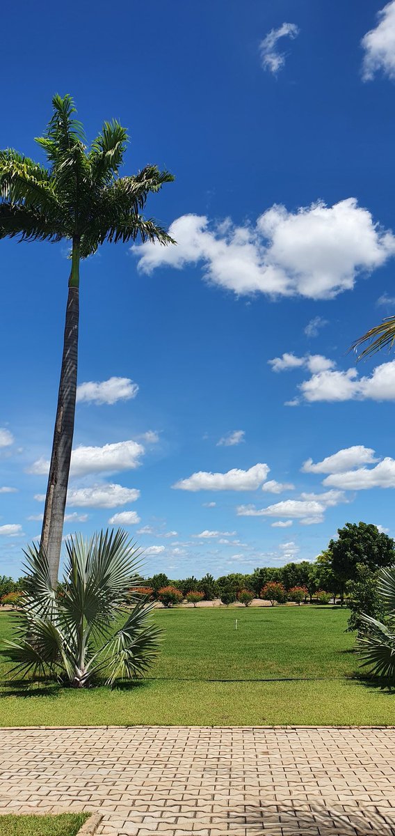 Beautiful blue skyto enjoy d day!♡