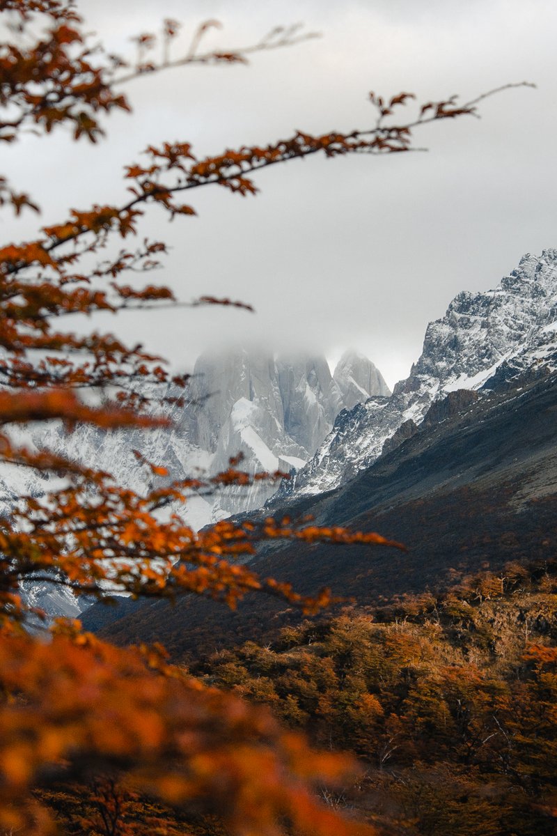 antorosselli's tweet photo. Hey photographers! 
Can we start a thread showing the most beautiful landscapes from Patagonia?

I start with this one!🏔
📍Cerro Torre, El Chaltén, Argentina https://t.co/49h6BJzWRv