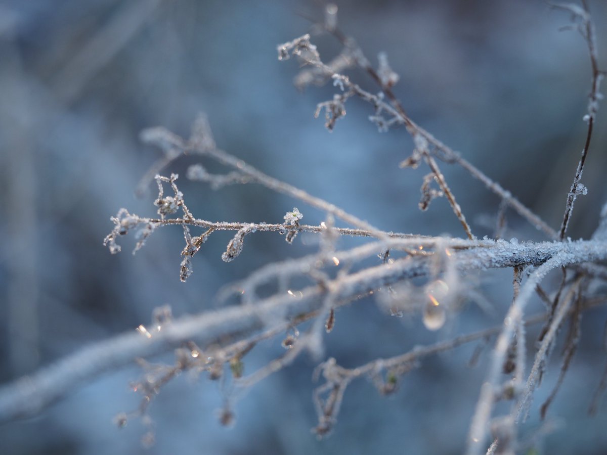 mrsisapi's tweet image. Ich bitte jeden, der die Natur liebt, ein selbst aufgenommenes Foto zu posten. Nur Foto, kein Text. Ziel ist es, in der negativen Atmosphäre Ruhe und Ausgeglichenheit zu schaffen. Kopiere den Text und platziere das Foto in der Timeline. 
Dann können wir es alle gemeinsam genießen