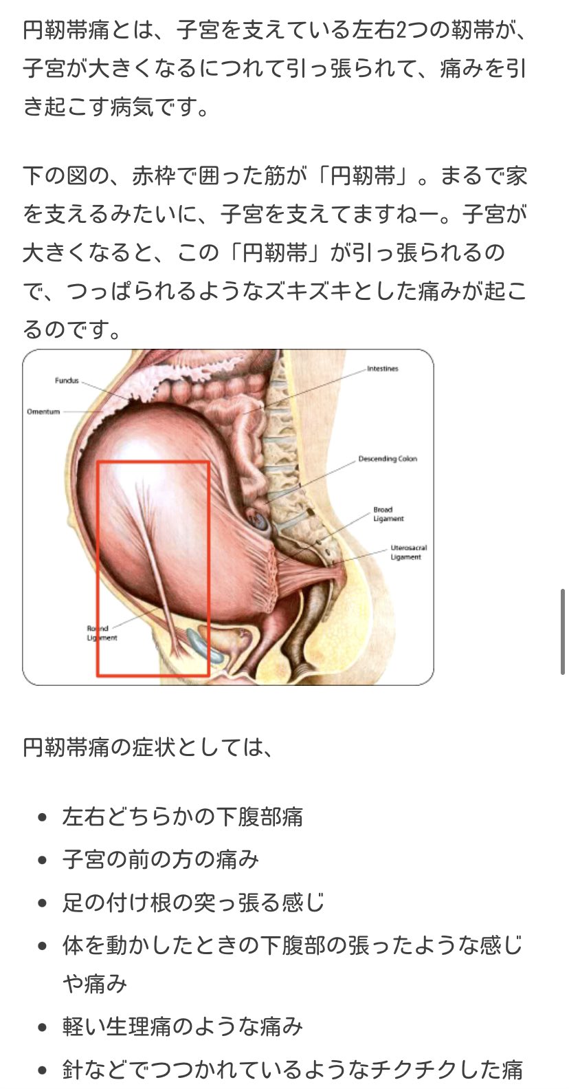 Twitter 上的 An Mum w以前の妊婦さんもw以降の妊婦さんも全妊婦さんが安心してなるべく平穏な気持ちで日々を過ごせることに先に感謝します ありがとう ありがとう ありがとう Thankyou Themagic Thesecret 画像のように靭帯が伸びに伸びてると思うと
