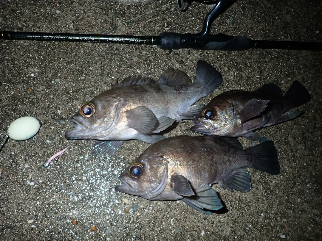 Kuri Kurix27 Twitter Kuri Kurix27 Twitter