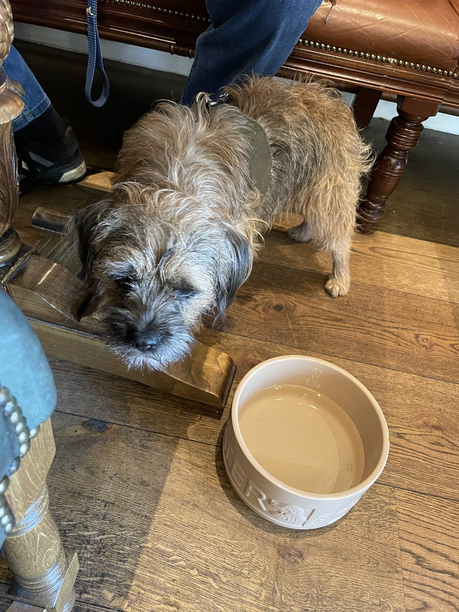 fredajg's tweet photo. They brought me a bowl for a drink, I thought it big enough to bath in #BTPosse https://t.co/ESnD0hlid3