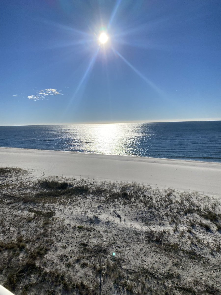 beachside311's tweet photo. Love the beach, but miss the mountains this time of year! https://t.co/ybW5VLvKJc