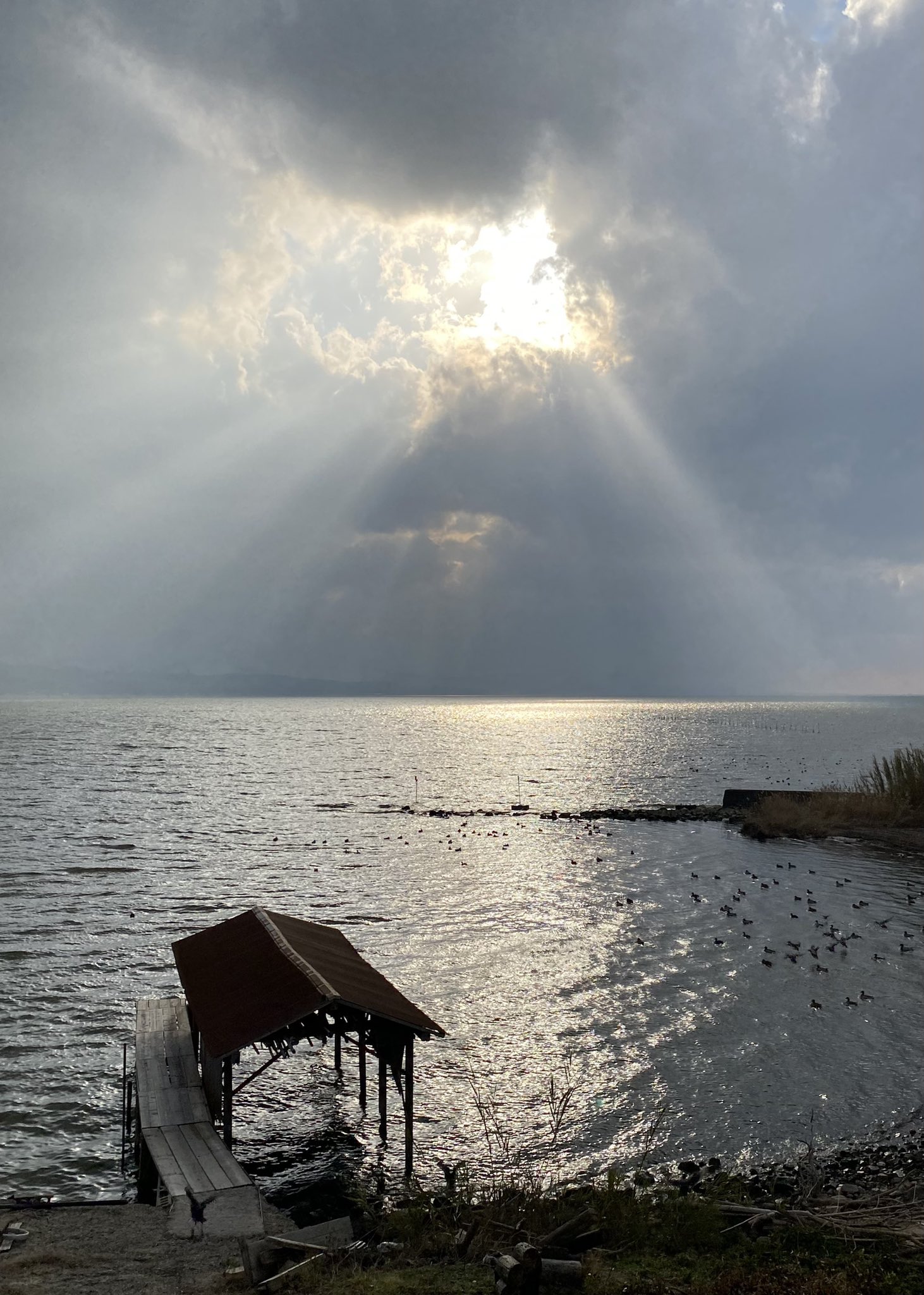 陽の光 Twitter Search Twitter