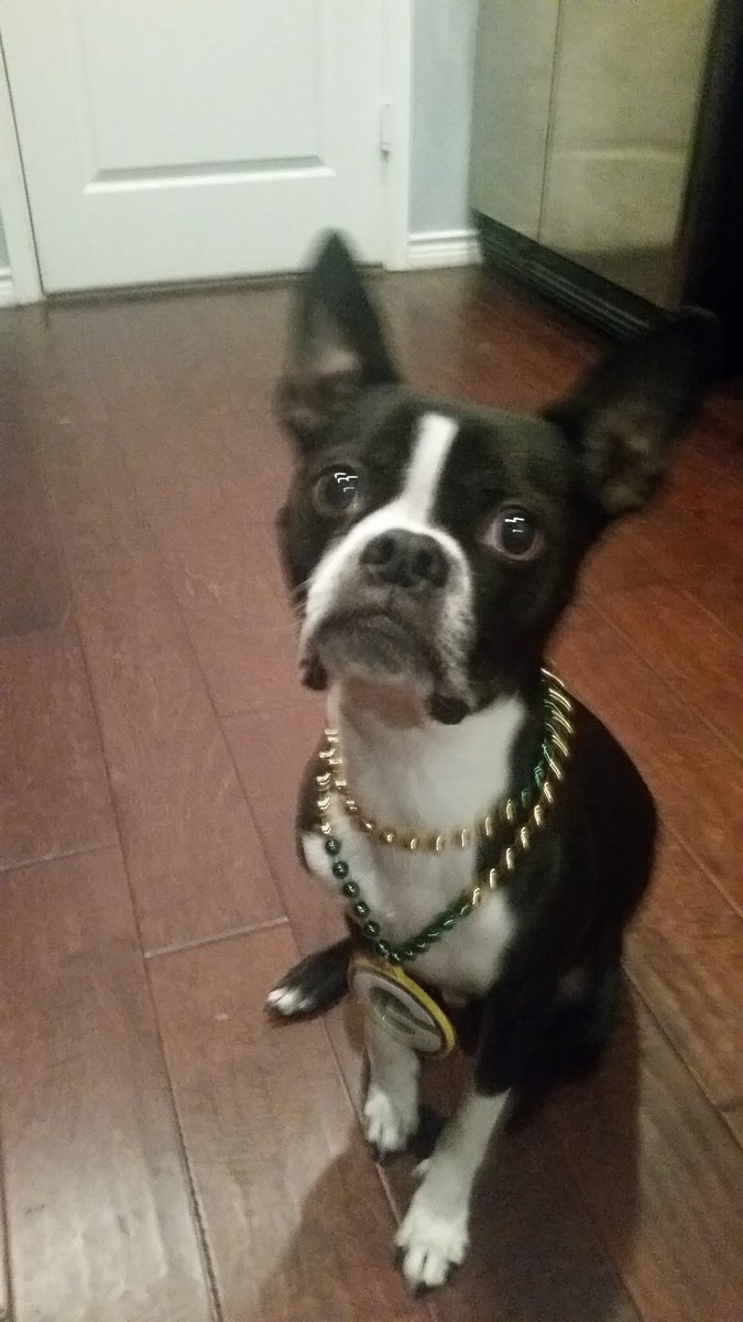 1211Hug's tweet photo. @packers Rockafeller reppin' https://t.co/9W6s5O5w9A