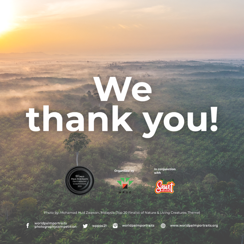 Thank you to participants of the World Palm Portraits Photography Competition 2021! #palmportraits #palmportraits2021 #wpppc #wpppc2021 #worldpalmportraits #photographycompetition #sawit #sawitanugerahtuhan #sawitdivineblessing