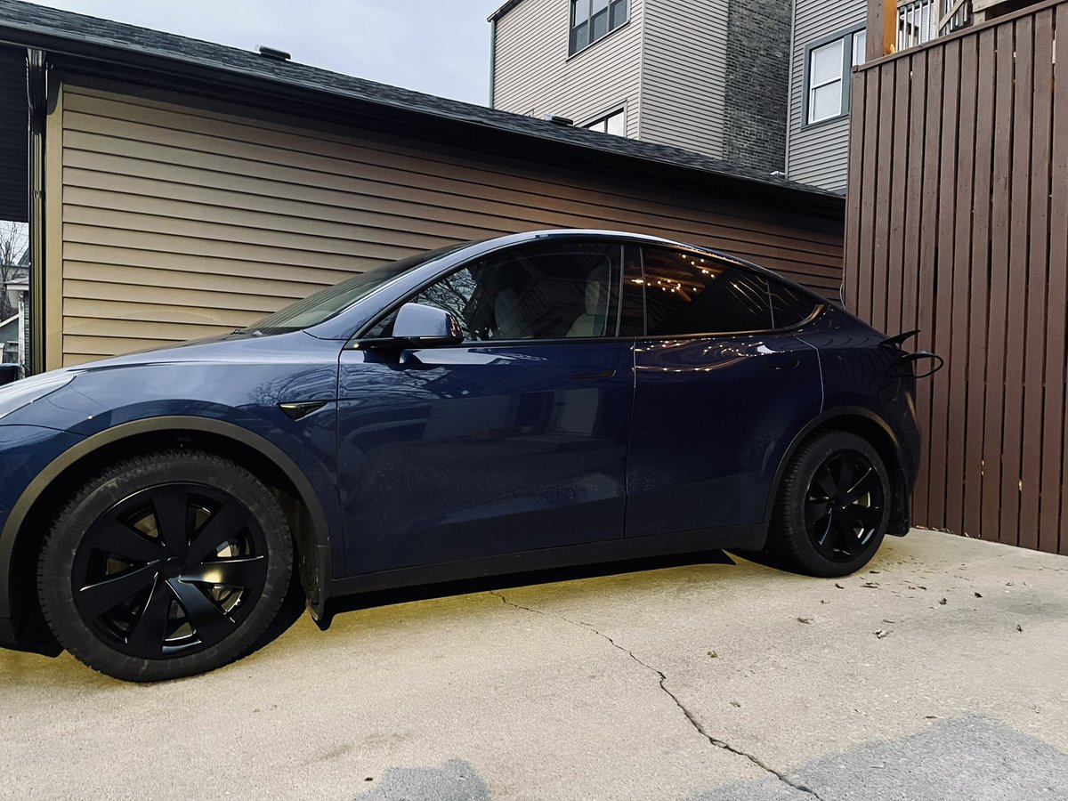 PFerg17's tweet photo. @Model3Owners Gemini +Rimetrix 🔥 https://t.co/Yjif3tVVEz